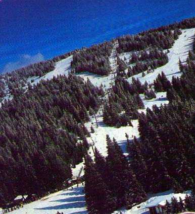 Kopaonik - staza "Karaman Greben" na njoj su mnogi načinili svoje prve smučarske korake.