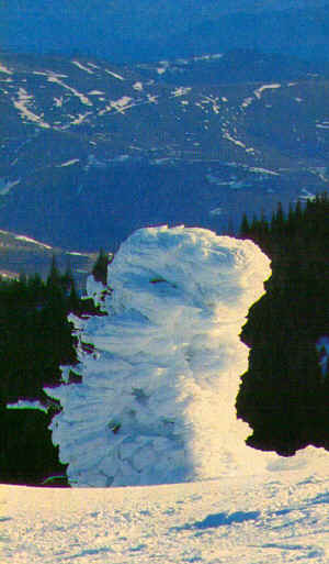 Kopaonik