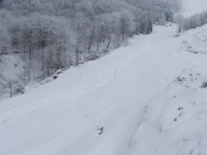 Stara planina