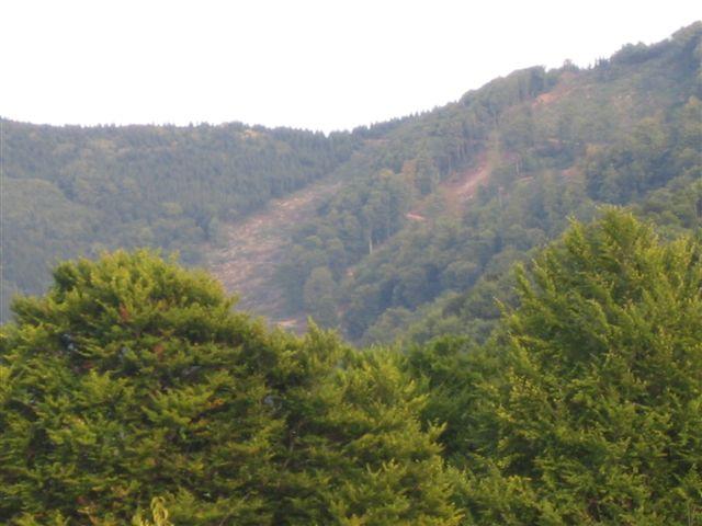 Stara planina