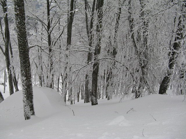 Stara planina