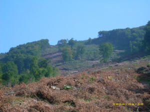 Stara planina