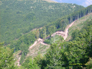 Stara planina