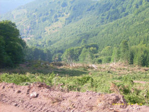 Stara planina