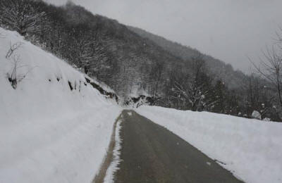 Stara planina