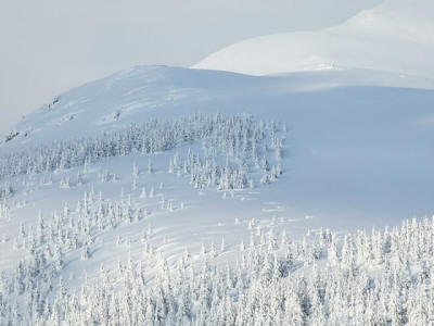 Stara planina