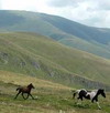 Stara planina