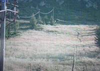Stara planina