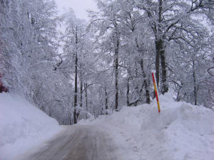 Stara planina