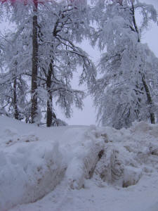Stara planina