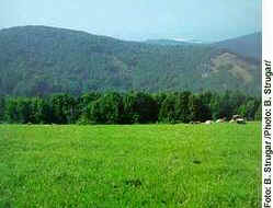 Fruška Gora