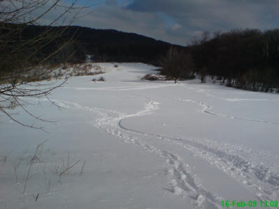 Fruška Gora