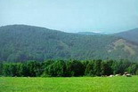 Fruška Gora