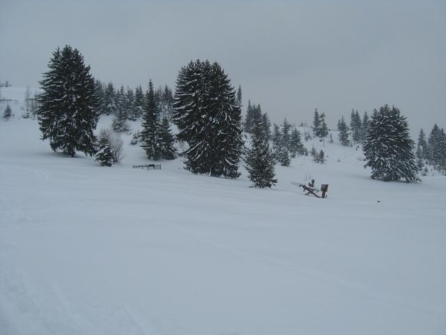 Prijepolje