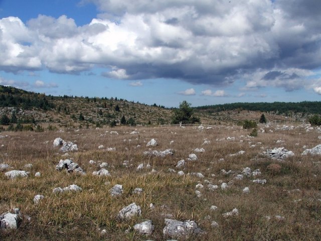 Prijepolje