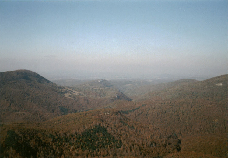 Beljanica