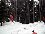 Ski skakaonice u Srbiji
