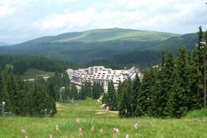 Seme trave za ski staze