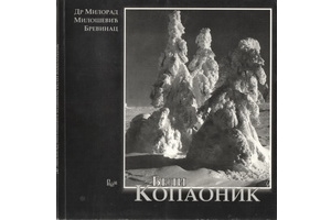 Beli Kopaonik - 2007