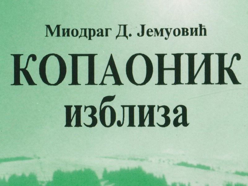 Kopaonik izbliza - 1996
