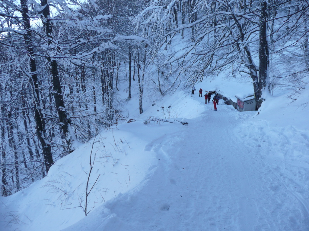 Stara planina
