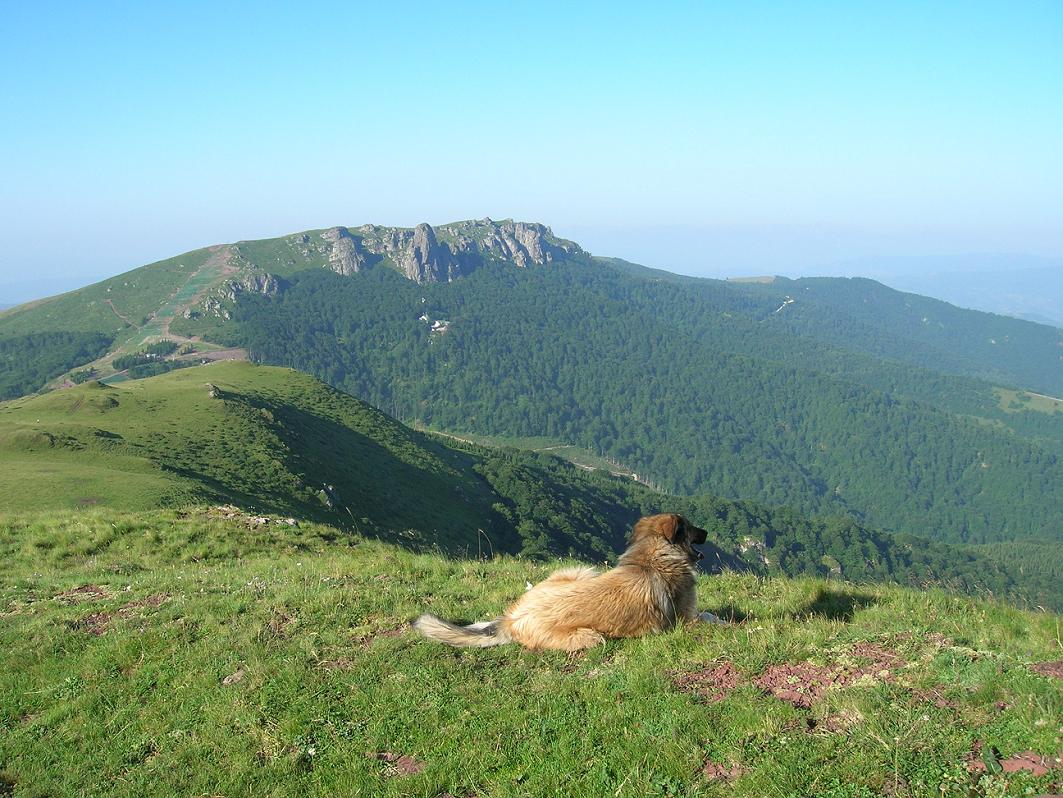 Stara planina - leto