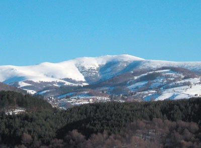Besna kobila