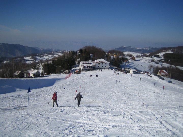 Besna kobila