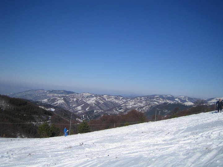 Besna kobila