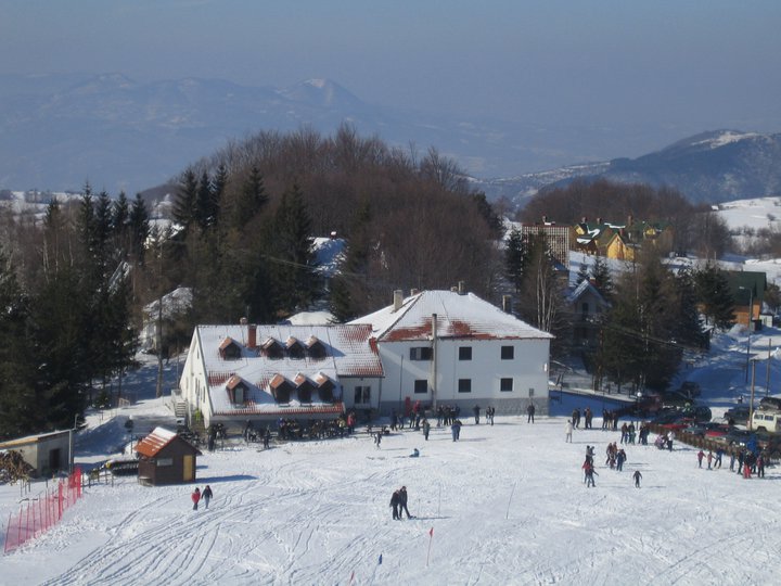 Besna kobila