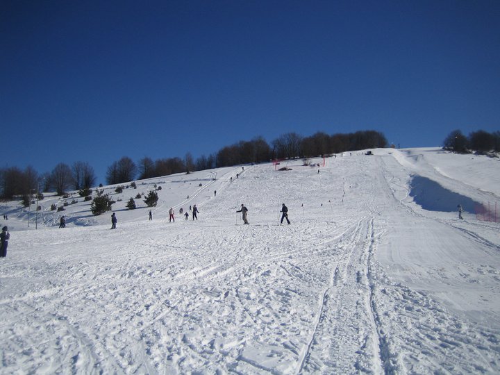 Besna kobila