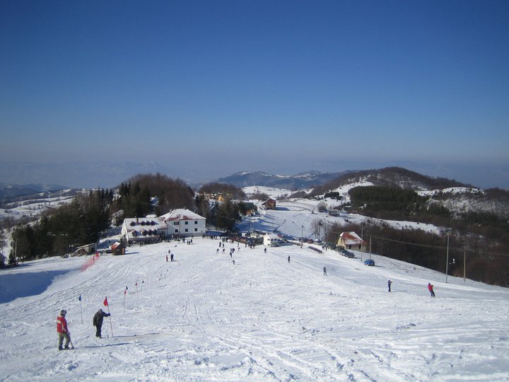 Besna kobila