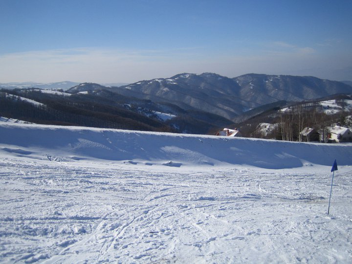 Besna kobila