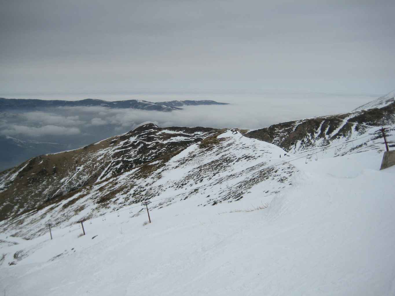 Brezovica