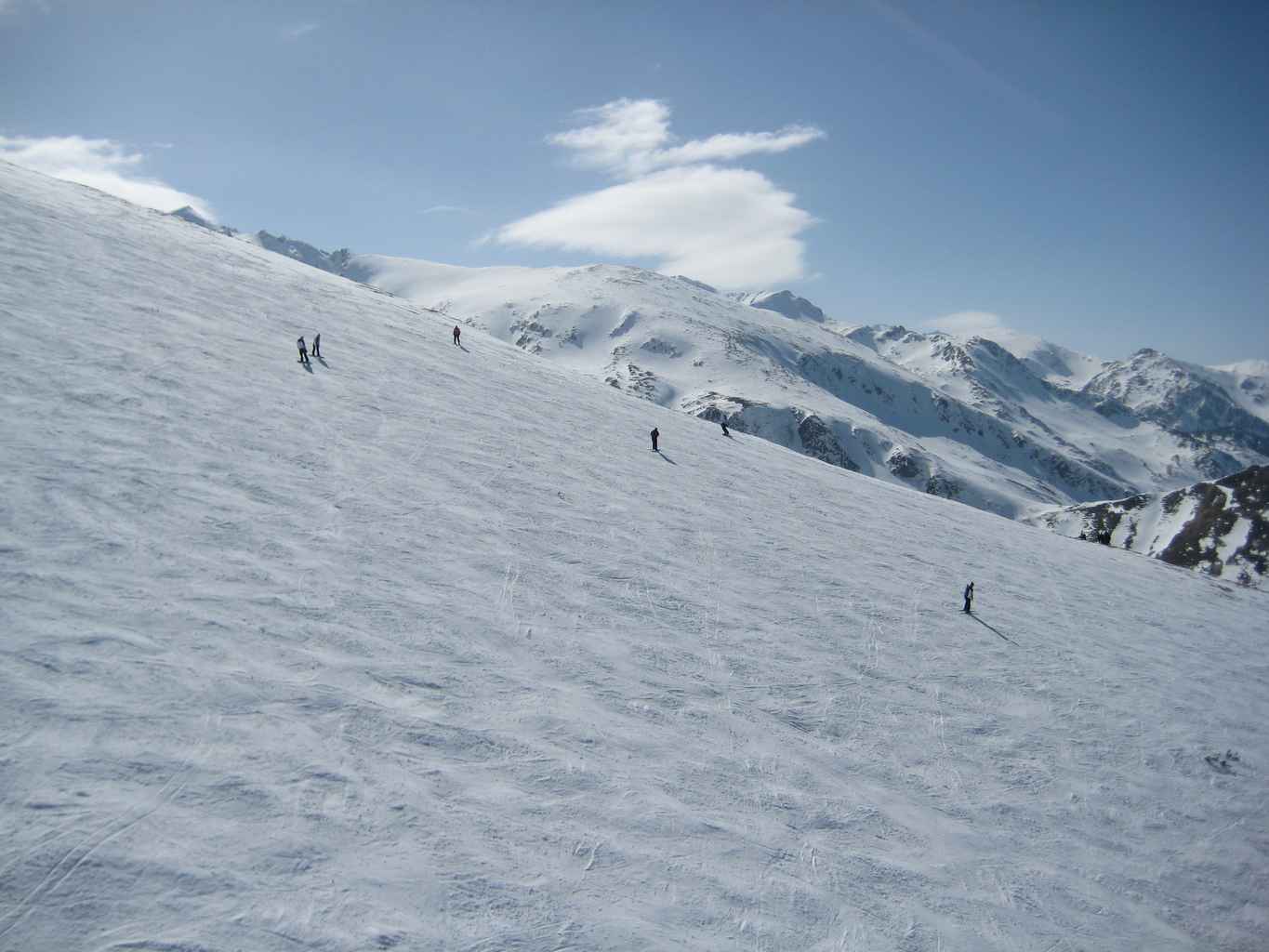 Brezovica