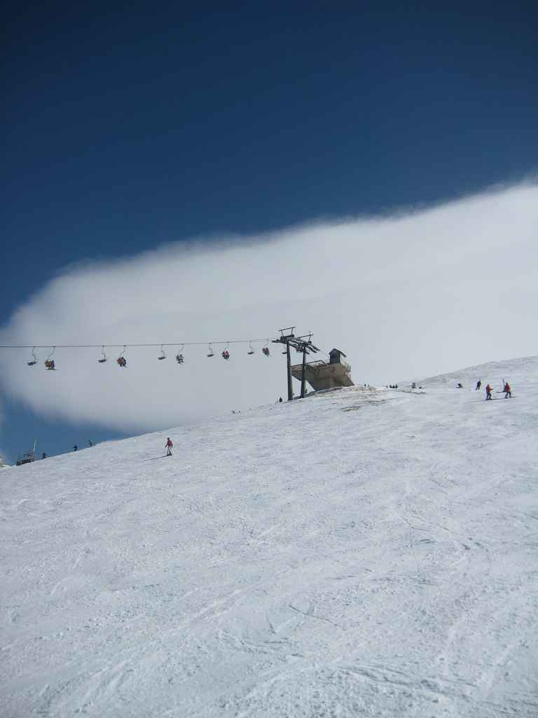 Brezovica