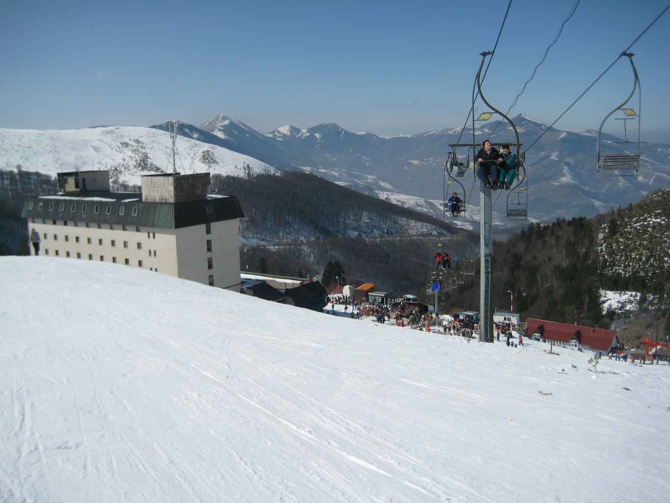 Brezovica