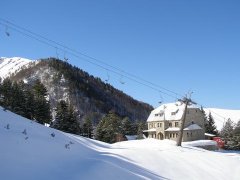 Brezovica