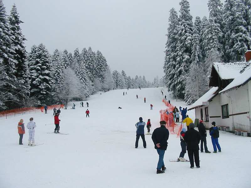 Goč - mala staza