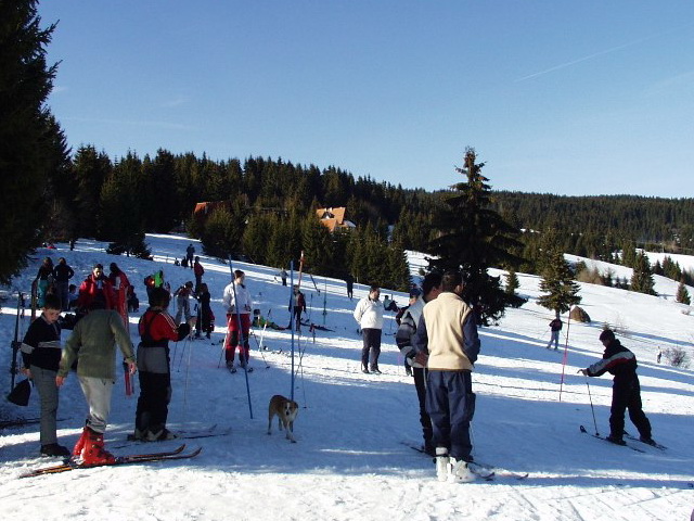 Golija - Ivanjica