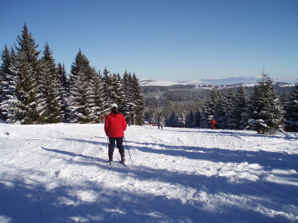 Golija - Odvraćenica