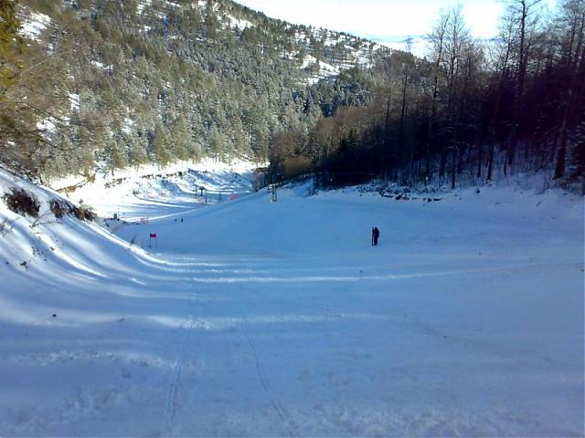 Iver - Mokra Gora
