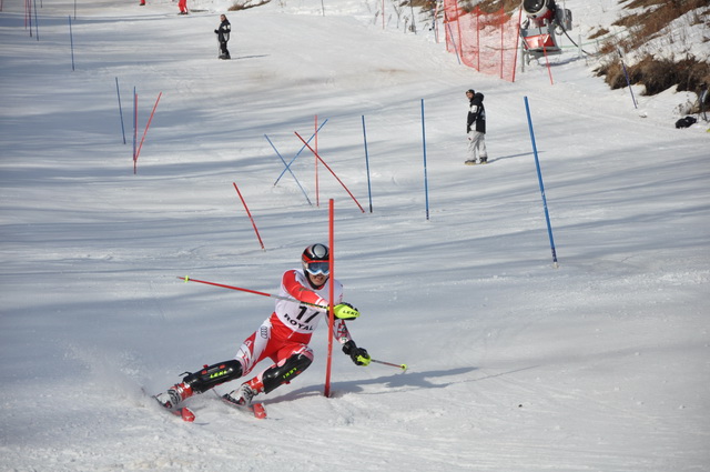 Iver - Mokra Gora