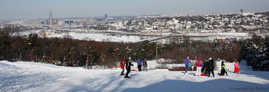 Košutnjak - Beograd