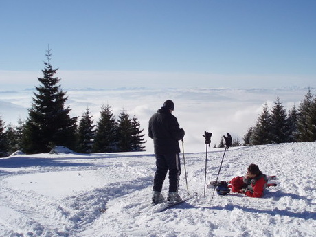 Golija - Odvraćenica