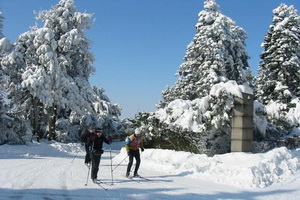 Avala