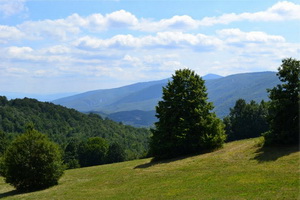 Beljanica