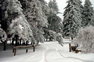 Fruška Gora