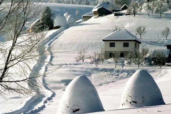 Prijepolje