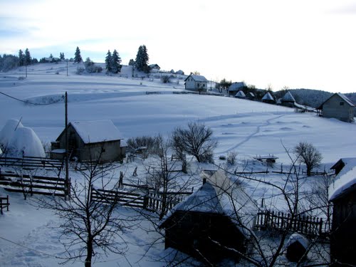 Prijepolje